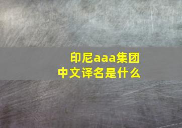 印尼aaa集团 中文译名是什么